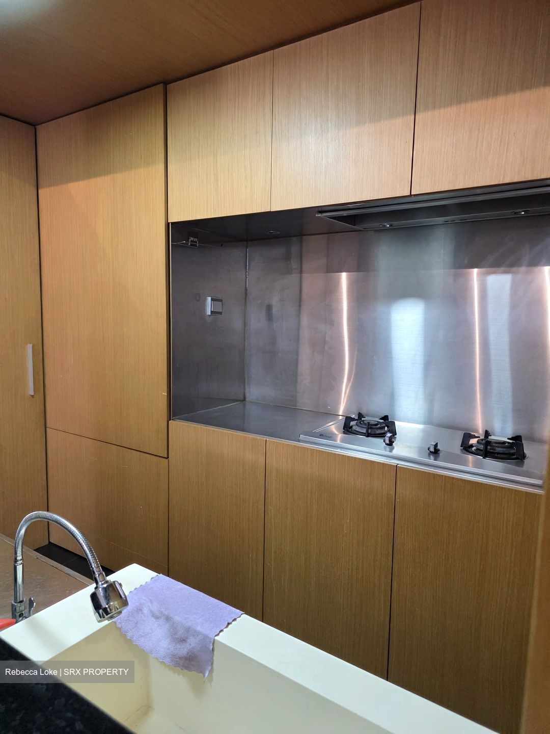 Nineteen Shelford Road (D11), Condominium #585551451